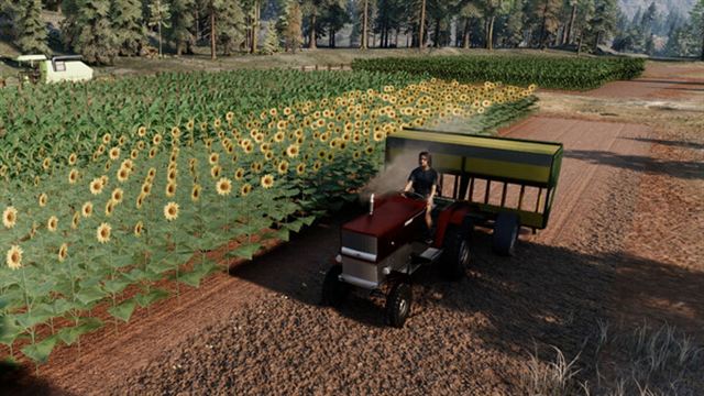 Hình ảnh gameplay Ranch Simulator v1.34s-P2P