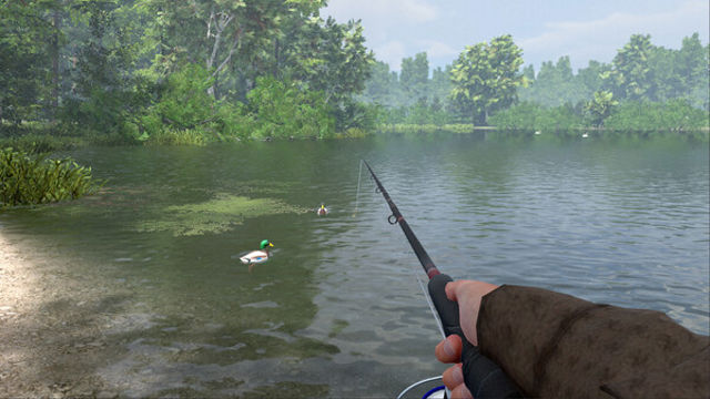 Hình ảnh gameplay Professional Fishing 2 Early Access