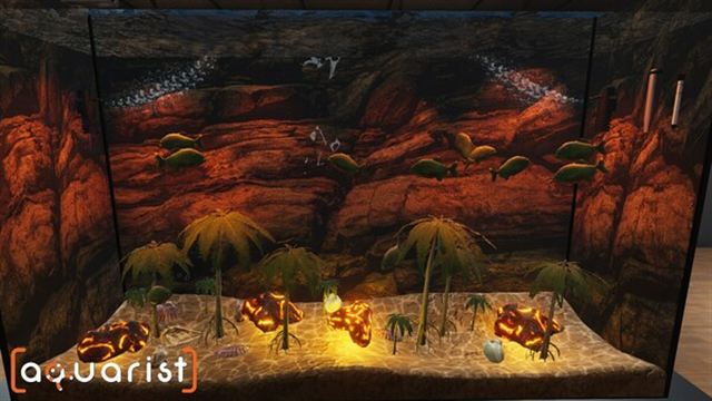 Hình ảnh gameplay Aquarist Aquatic Supermarket-TENOKE