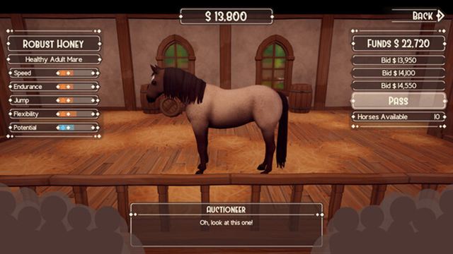 Hình ảnh gameplay The Ranch of Rivershine-TENOKE