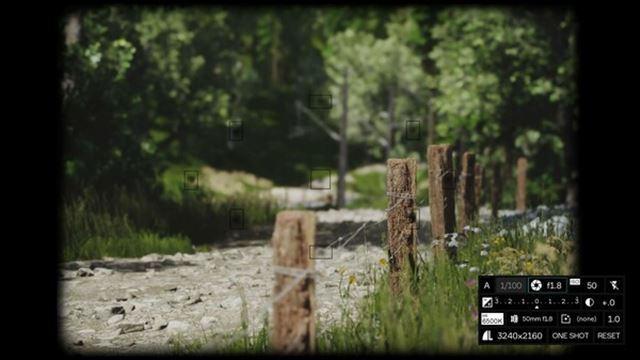 Hình ảnh gameplay Lushfoil Photography Sim v20250711-P2P