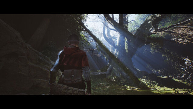 Hình ảnh gameplay 1348 Ex Voto v1.05-P2P