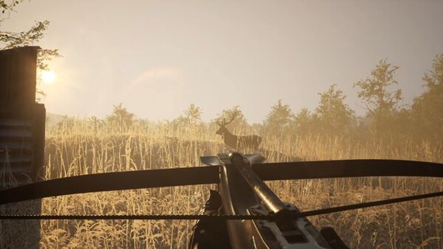 Hình ảnh gameplay Sword and Shield Simulator Early Access