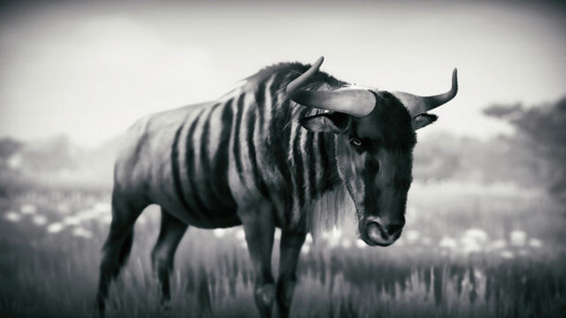 Hình ảnh gameplay Seclusa-TENOKE