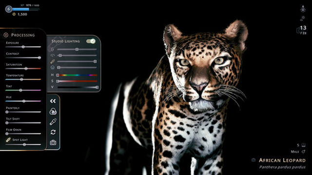 Hình ảnh gameplay Seclusa-GoldBerg