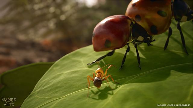 Empire of the Ants Empire of the Ants