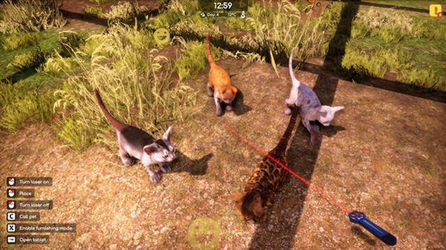 Hình ảnh gameplay Animal Shelter 2 v1.0.32-P2P