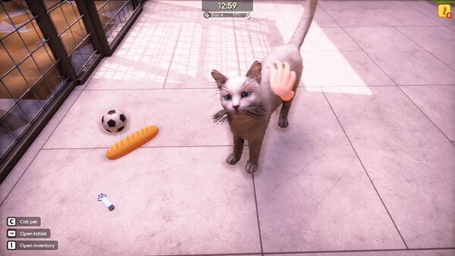 Hình ảnh gameplay Animal Shelter 2 v1.0.32-P2P