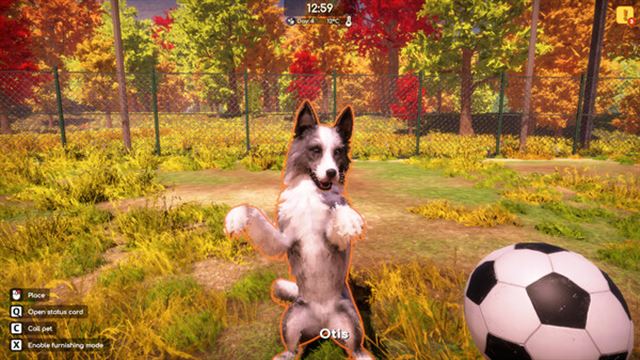 Hình ảnh gameplay Animal Shelter 2 v1.0.32-P2P