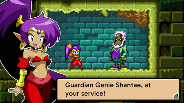 Hình ảnh gameplay Shantae Advance Risky Revolution-TiNYiSO