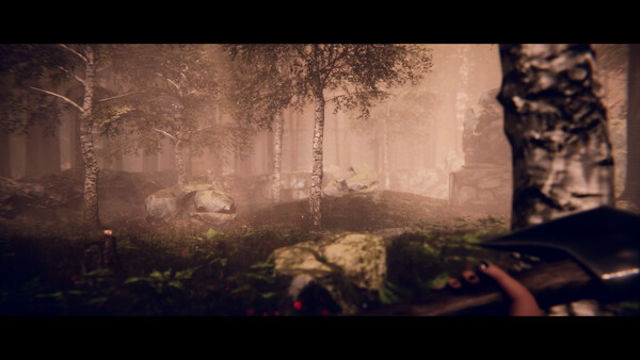 Hình ảnh gameplay Project Songbird-TENOKE