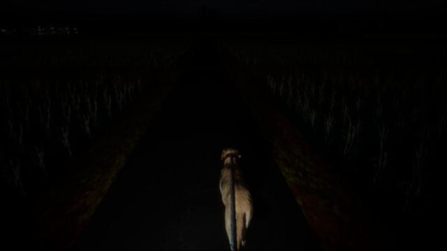 Hình ảnh gameplay The Paddy Field-TENOKE