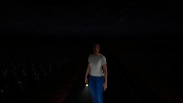 Hình ảnh gameplay The Paddy Field-TENOKE