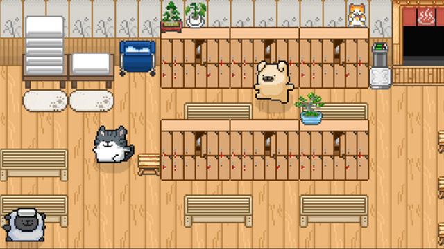 Hình ảnh gameplay Malteses Fluffy Onsen-TENOKE