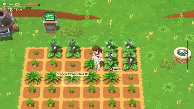 Hình ảnh gameplay Harvest Moon Home Sweet Home Special Edition-TENOKE