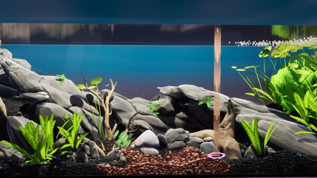 Hình ảnh gameplay Fish Game Substrate Variety Pack 1-TENOKE