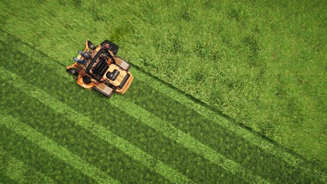 Hình ảnh gameplay Lawn Mowing Simulator 2-RUNE