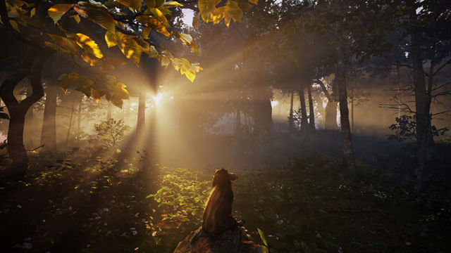 Hình ảnh gameplay Adorable Adventures-P2P