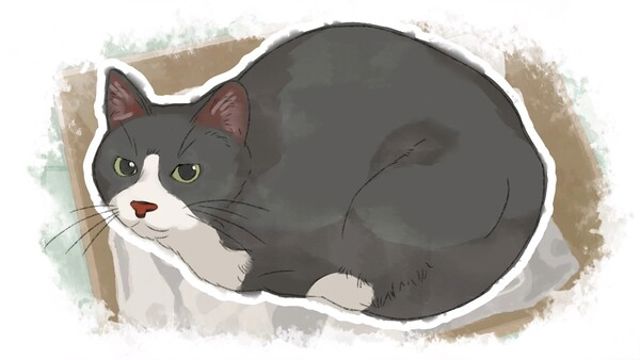 Hình ảnh gameplay Dear me I was-TENOKE