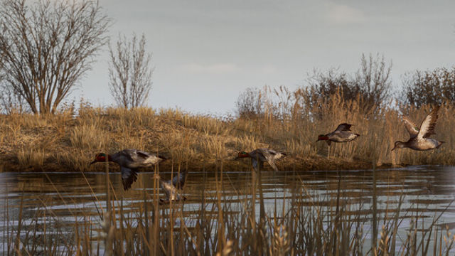 Hình ảnh gameplay BULT Hunting Simulator Early Access