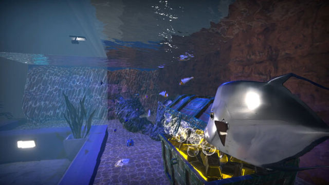 Hình ảnh gameplay Aquarist American Fish-TENOKE