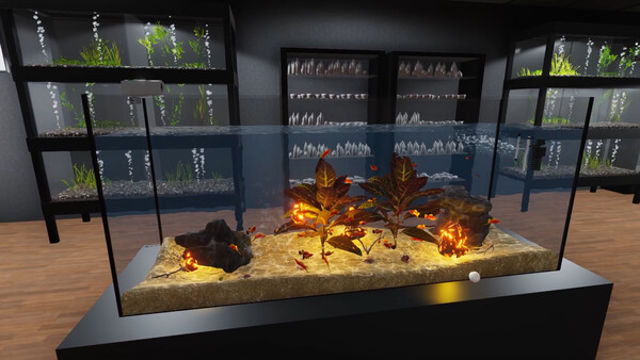 Hình ảnh gameplay Aquarist American Fish-TENOKE