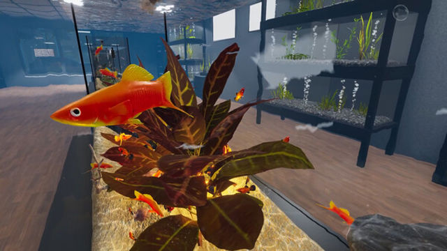 Hình ảnh gameplay Aquarist American Fish-TENOKE