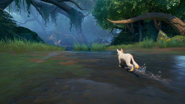 Hình ảnh gameplay Warrior Cats Clans of the Forest-RUNE