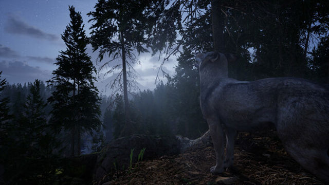 Hình ảnh gameplay Online 404 Early Access