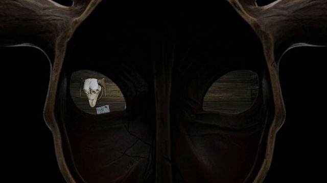 Hình ảnh gameplay The Old Mans Will-GoldBerg