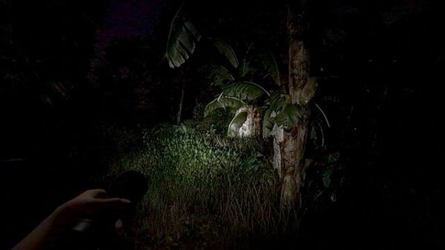 Hình ảnh gameplay The Remains of Dahlia-GoldBerg