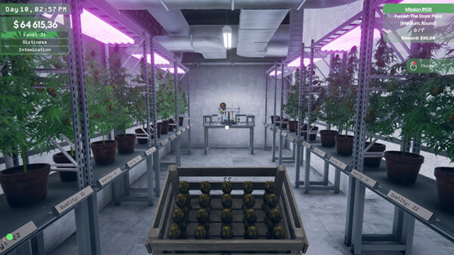 Hình ảnh gameplay Weed Supermarket Simulator Early Access