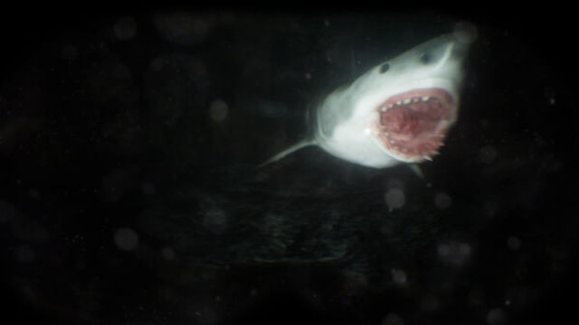 Hình ảnh gameplay Scary Cave Diving-GoldBerg