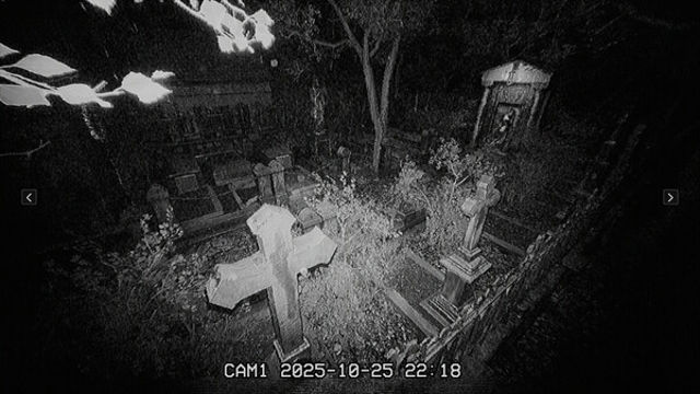 Hình ảnh gameplay The Cemetery Shift-P2P