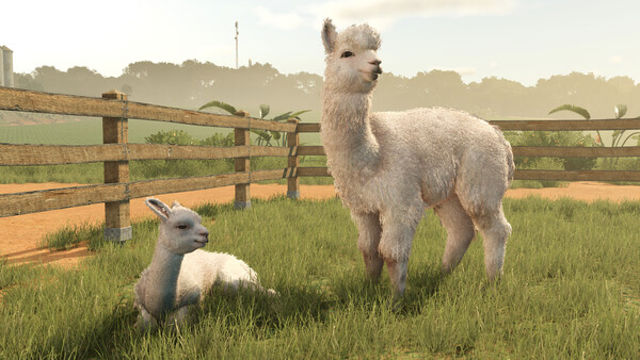 Hình ảnh gameplay Farming Simulator 25 Beans and Alpacas-RUNE