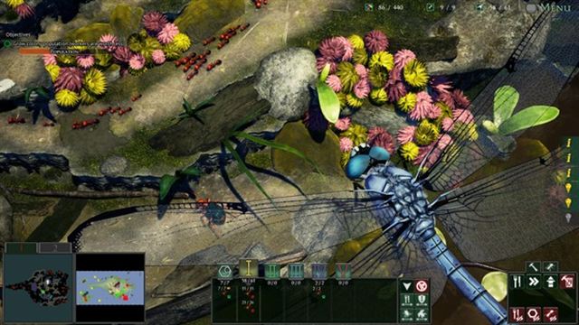 Hình ảnh gameplay Empires of the Undergrowth v1.000022-P2P