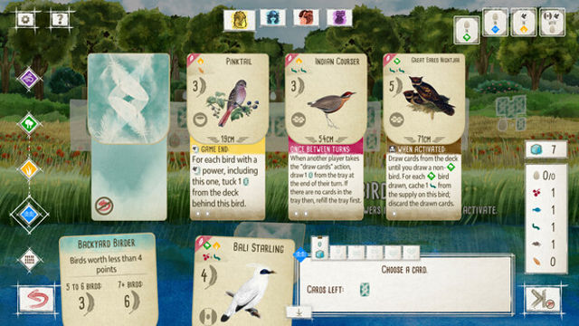 Hình ảnh gameplay Wingspan Bird Pack Additional Asian Avians-TENOKE