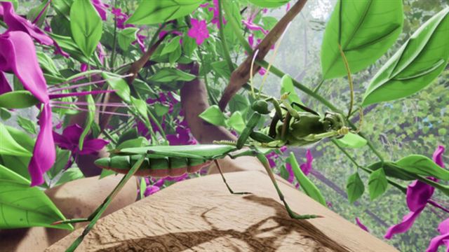 Hình ảnh gameplay Nature And Life Drunk On Nectar v1.0.4.3-P2P