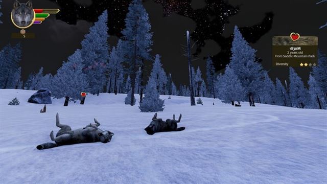 Hình ảnh gameplay WolfQuest Anniversary Edition v3.0.1k-P2P
